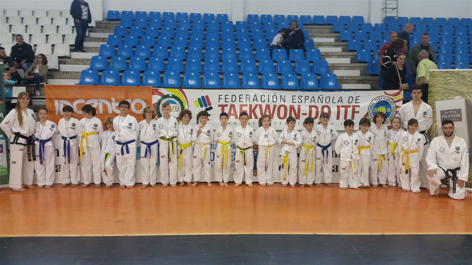 Dia del Taekwon-do 2018  (2).jpg